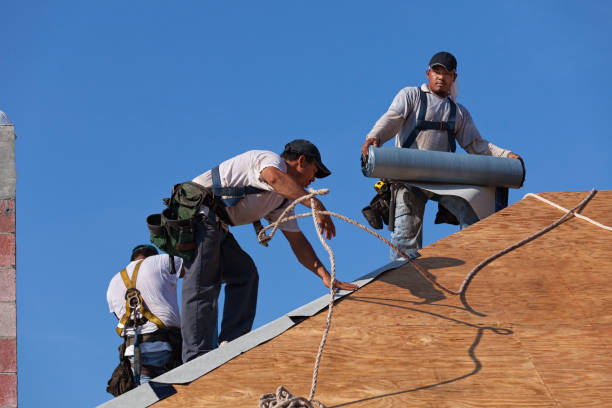 Best Best Roofing Contractors  in Monte Alto, TX